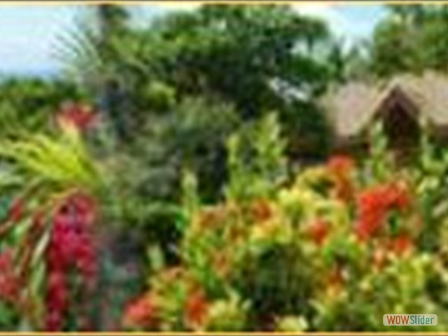 jquery slider