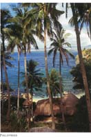 183-Negros