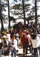 291-BagFoule