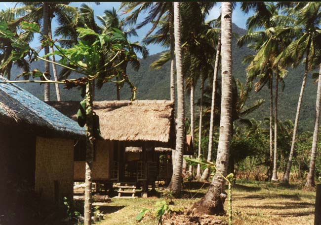 11-Taraw01